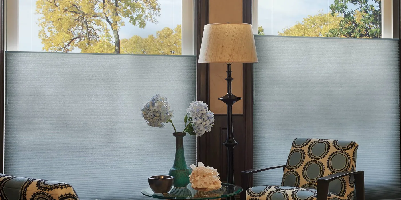 A Hunter Douglas Duette honeycomb shade with the top rail lowered: bare glass and autumn trees above the fabric, with the window covered at eye level